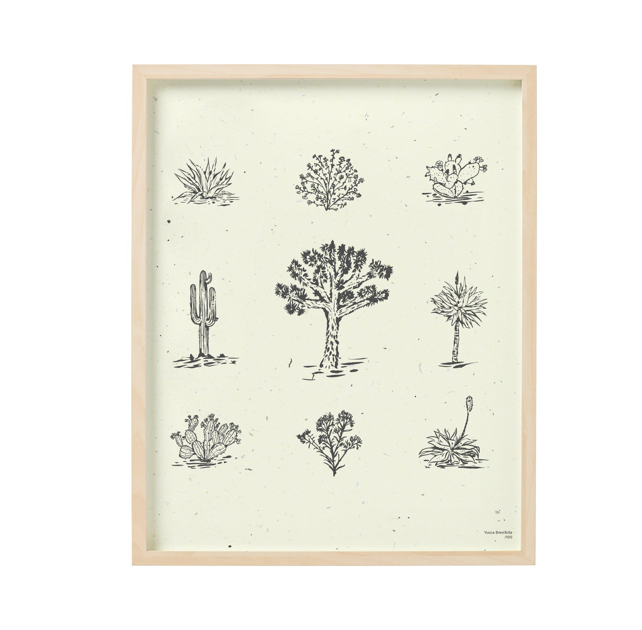 Object(s) Desert Flora Print